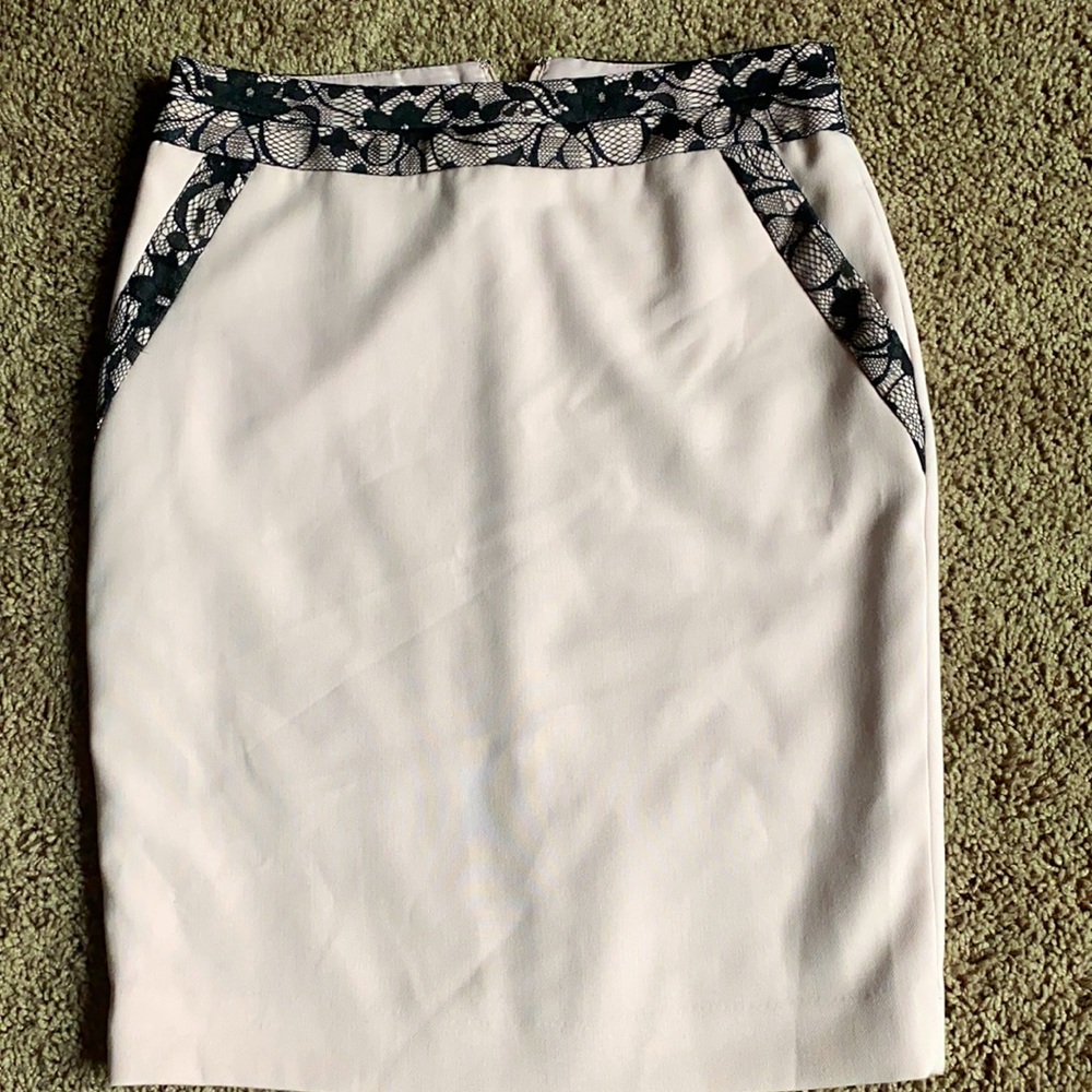 The Limited skirt